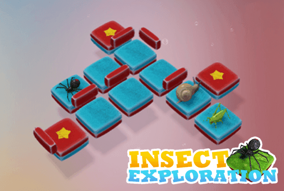 Insect Exploration